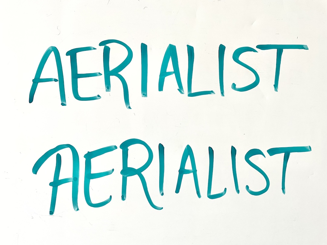 the word "aerialist" handwritten twice